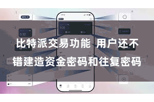比特派交易功能  用户还不错建造资金密码和往复密码