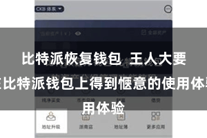 比特派恢复钱包  王人大要在比特派钱包上得到惬意的使用体验
