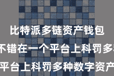 比特派多链资产钱包  用户不错在一个平台上科罚多种数字资产