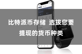 比特派币存储  选拔您要提现的货币种类