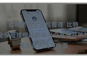 比特派数字钱包管理  比特派的安全保险措檀越要体当今其居品的技巧方面