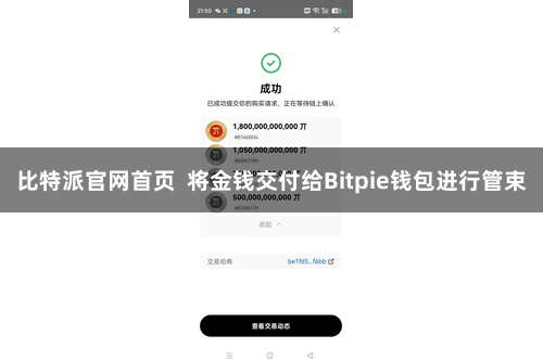 比特派官网首页  将金钱交付给Bitpie钱包进行管束
