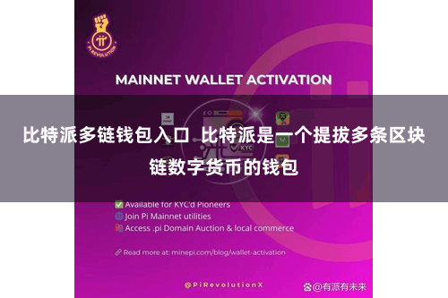 比特派多链钱包入口  比特派是一个提拔多条区块链数字货币的钱包