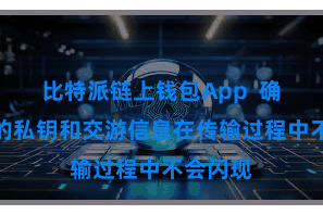 比特派链上钱包App  确保用户的私钥和交游信息在传输过程中不会闪现