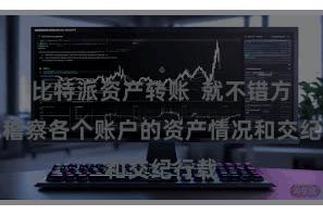 比特派资产转账  就不错方便地稽察各个账户的资产情况和交纪行载